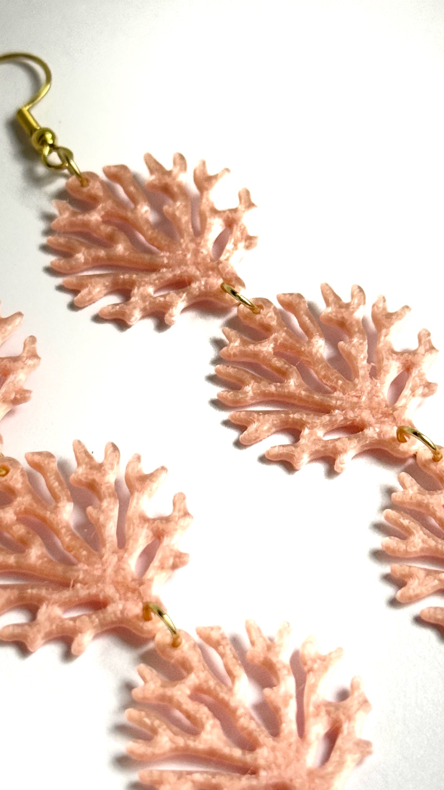 GORGONIA