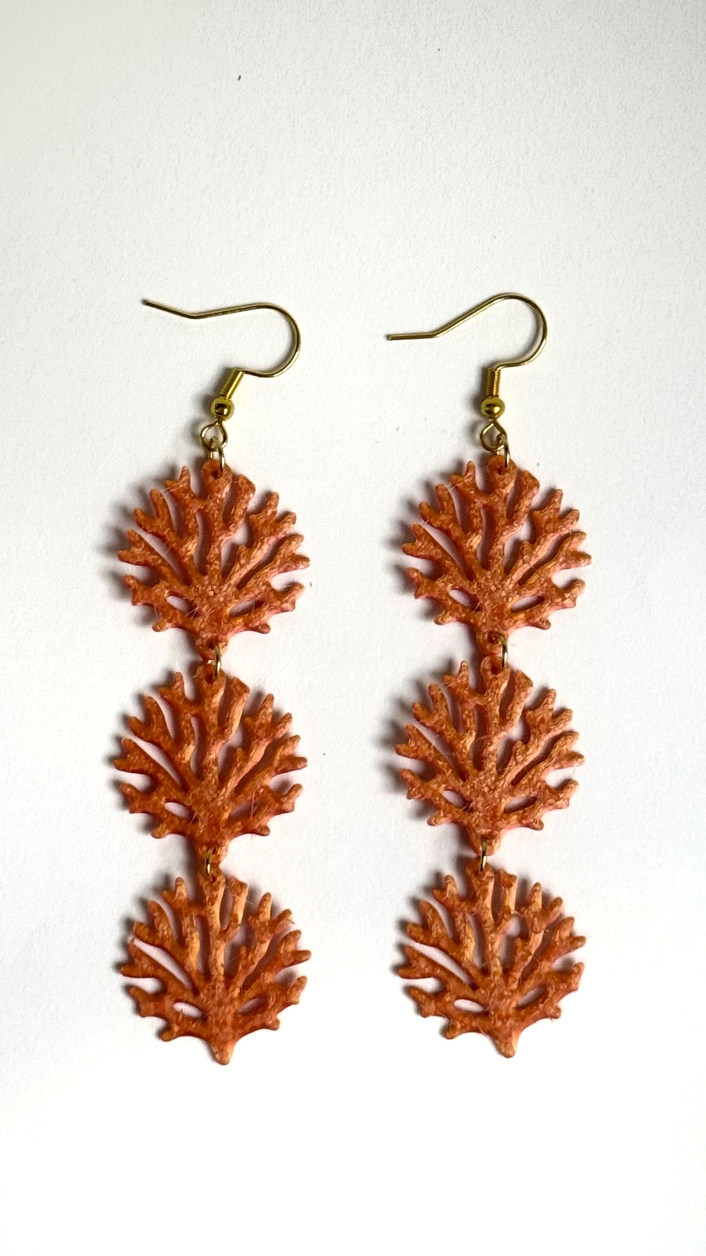 GORGONIA